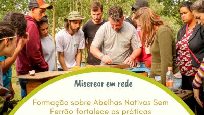 Formação sobre Abelhas Nativas Sem Ferrão fortalece as práticas agroecológicas e oferece alternativas para jovens da Região Sul