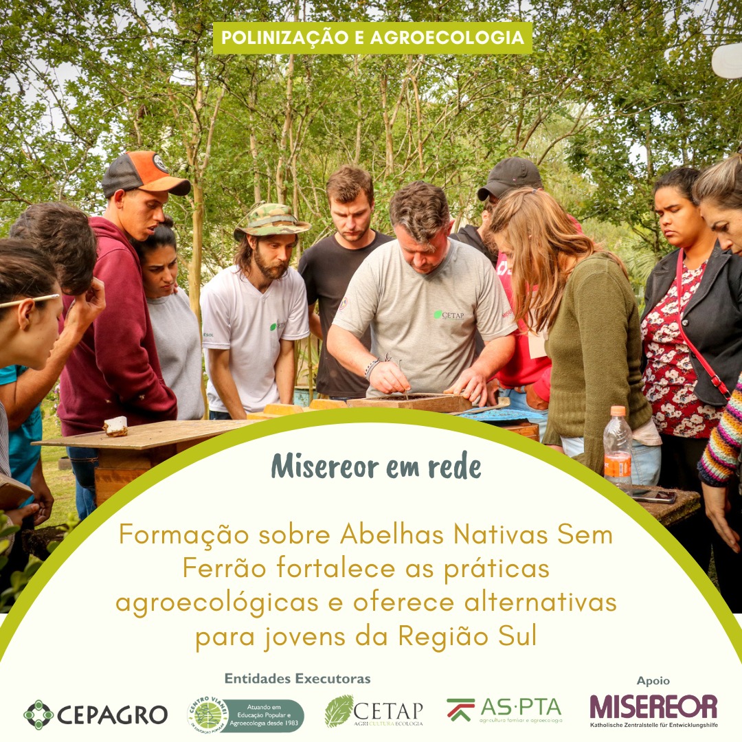 Formação sobre Abelhas Nativas Sem Ferrão fortalece as práticas agroecológicas e oferece alternativas para jovens da Região Sul