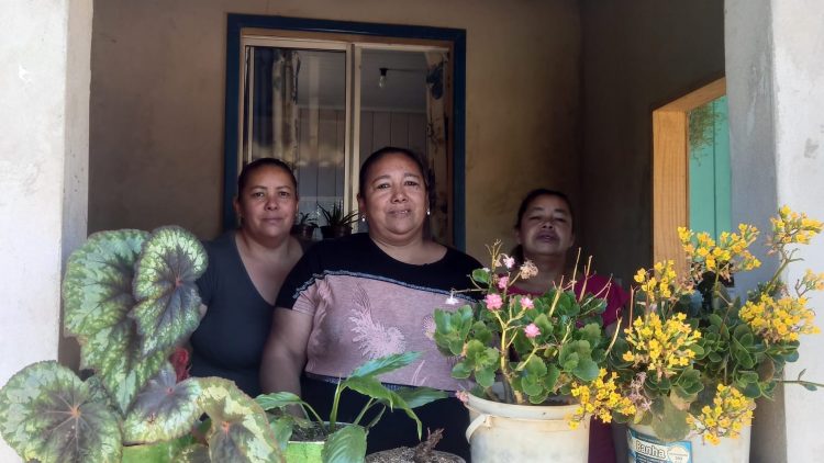 Fortalecimento da agricultura familiar em Cerro Negro através de politicas publicas de segurança e soberania alimentar e nutricional.